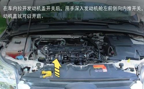 汽车后盖开启速度多少